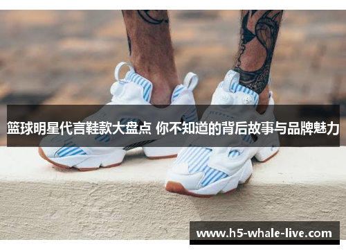 篮球明星代言鞋款大盘点 你不知道的背后故事与品牌魅力