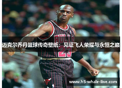 迈克尔乔丹篮球传奇壁纸：见证飞人荣耀与永恒之巅