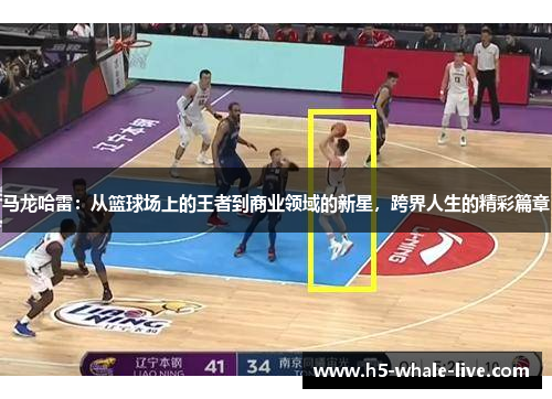 马龙哈雷：从篮球场上的王者到商业领域的新星，跨界人生的精彩篇章