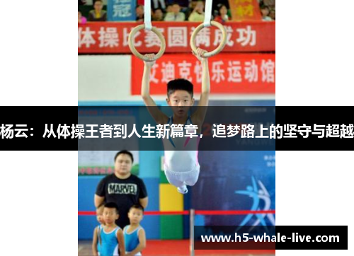 杨云：从体操王者到人生新篇章，追梦路上的坚守与超越