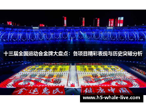 十三届全国运动会金牌大盘点：各项目精彩表现与历史突破分析